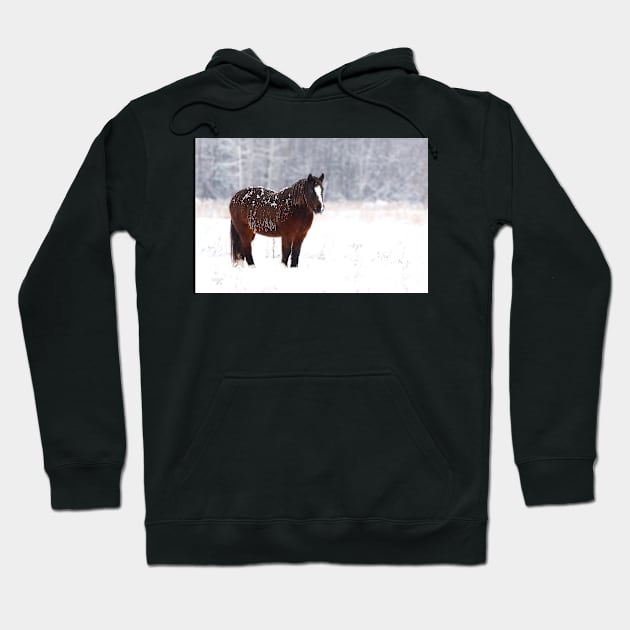 Brown on White - Horse Hoodie by Jim Cumming